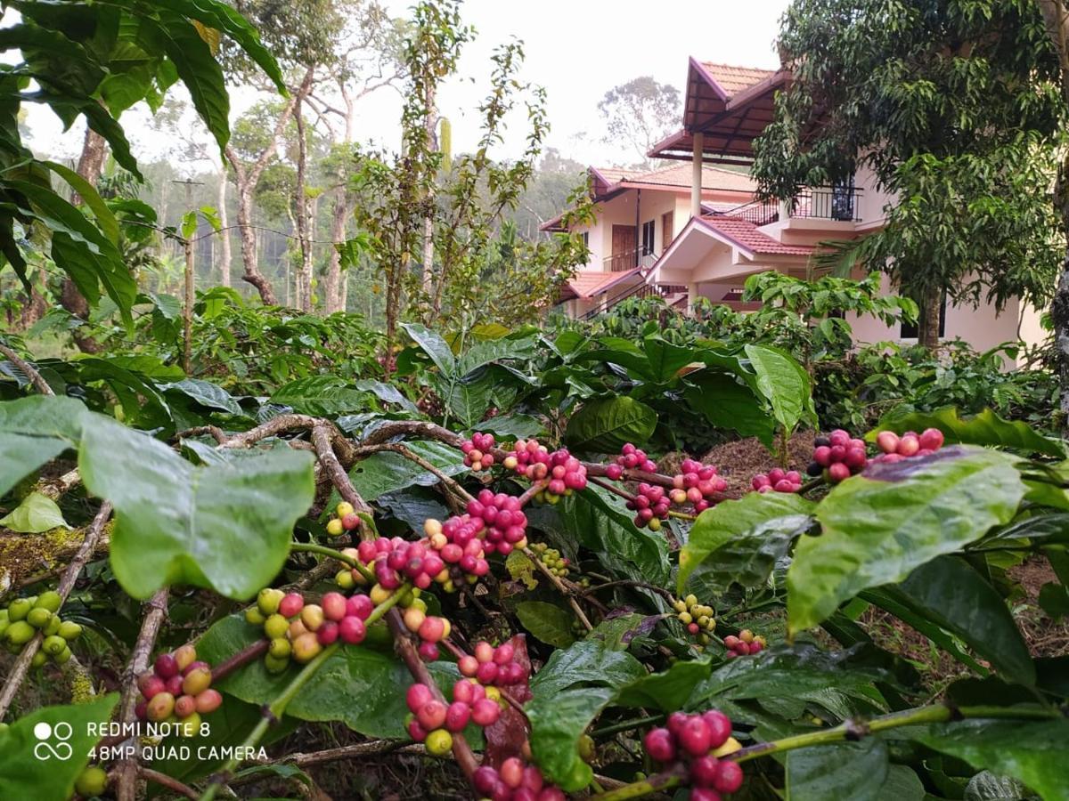 Hotel Wanders In Travel Company Madikeri Exterior foto