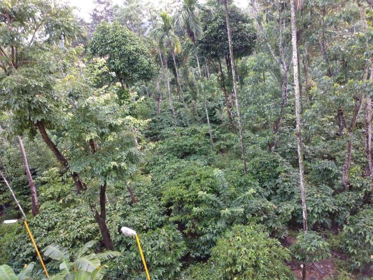Hotel Wanders In Travel Company Madikeri Exterior foto