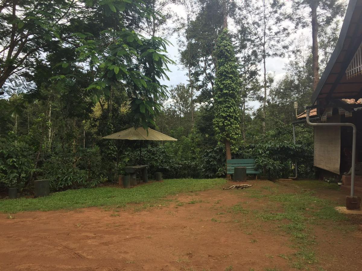 Hotel Wanders In Travel Company Madikeri Exterior foto